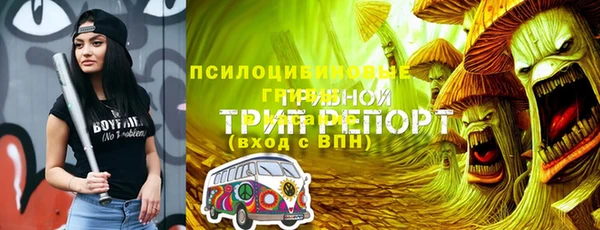 эйфоретик Костерёво