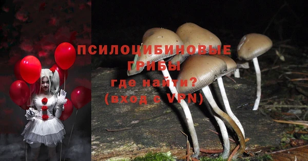 эйфоретик Костерёво